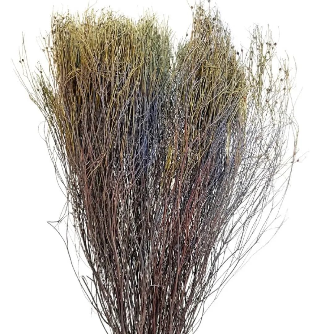 30" Natural Vassoura Grass/Assorted Sizes/Home Decor/Rustic Wedding Decor/ Brown Pampas/ Ivory Pampas/ Natural Pampas/