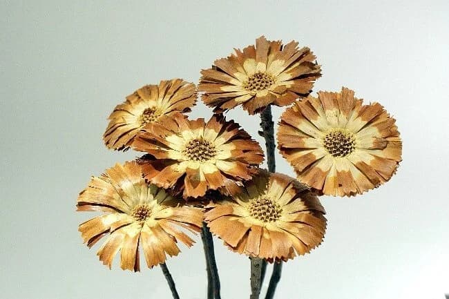Protea Flowers/Florals/Pine Cones On Sticks/Rustic Decor Idea/Rustic Bowl Filler/Rustic Table Decor/Fall Decor/Spring Decor