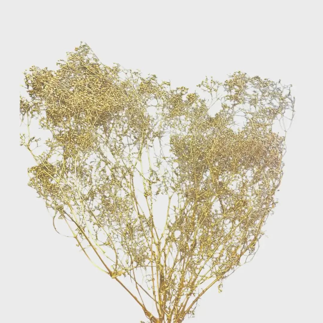 Dried Gold Gypsophilia/Baby Breaths/Fall/Thanksgiving/Table Setting/Home Decor/Faux Decor/Decoration/Fall Season/Indoor Decor/Bleached