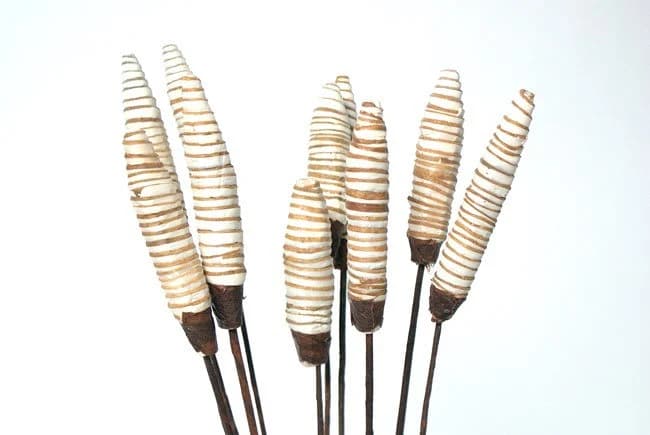 10PC Natural Sola Ring Cone/Cones/Pine Cones On Sticks/Rustic Decor Idea/Rustic Bowl Filler/Wicker Decoration/Rustic Table Decor