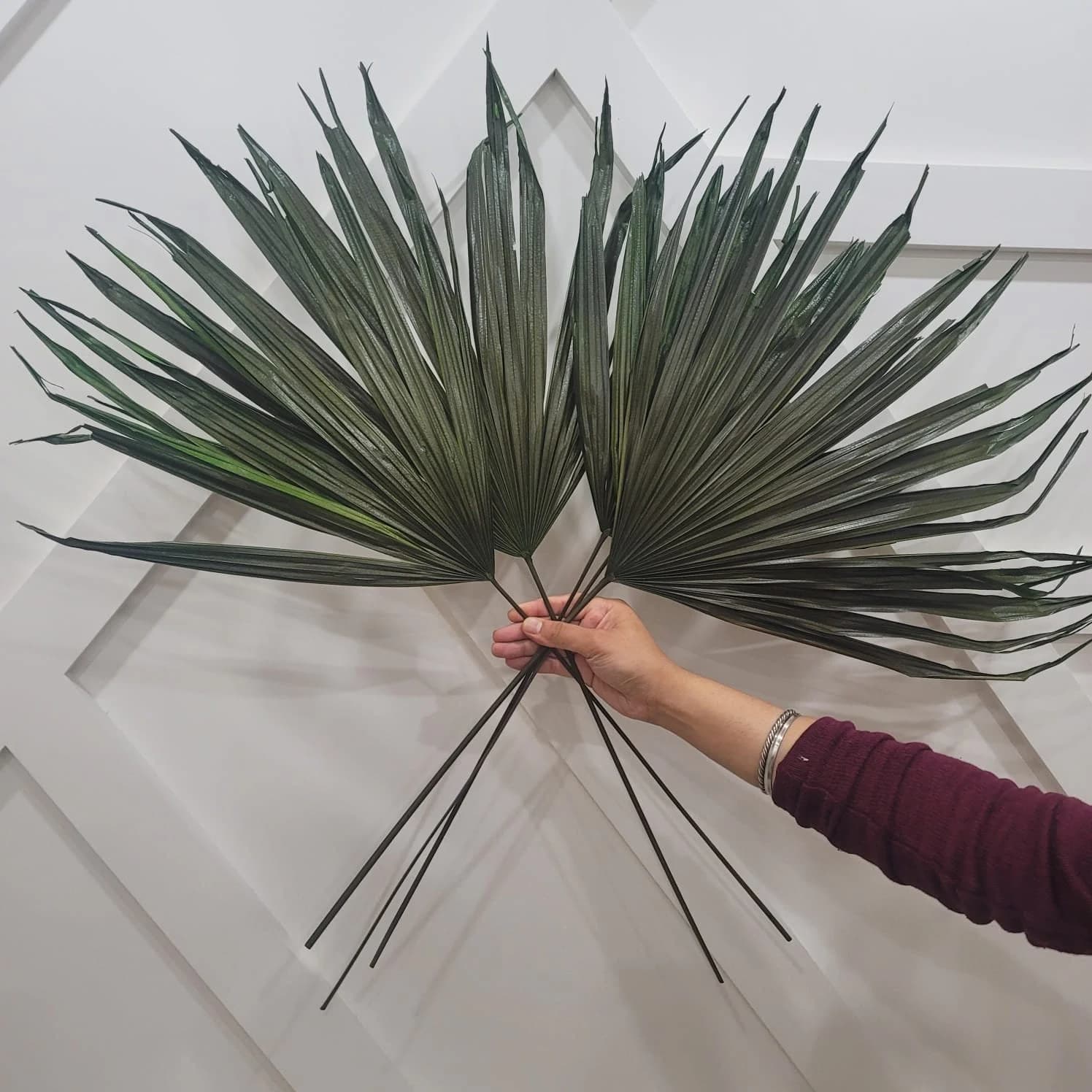 1.5ft Wispy GREEN SUN Palm Leaf/Dried Palm/Jumbo Dried Floral/Boho Home Decor/Wall Decor/Palm Spades/Anahaw Dried/Pampas Decor/Boho