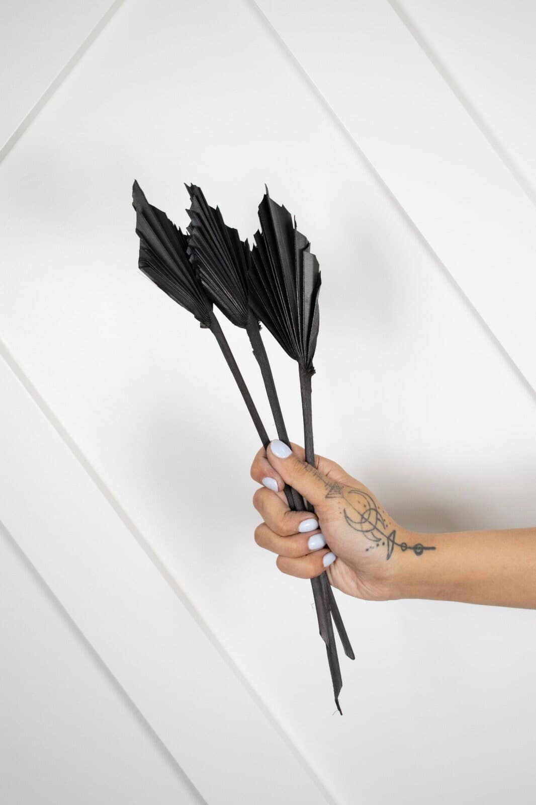 1-6pc  Micro BLACK PALM SPEARS/Black Palm/Natural Palm/Orange Palm/Home Decor/Vase DecorWedding Decor/Flowers/Silk Flowers/Palm Spears/dried