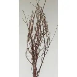2-3FT Birch Branches/Curly Twigs/Branches/Centerpiece decor/ Decoration Branches/Gold Branches/Glitter Branches/Silver Branches