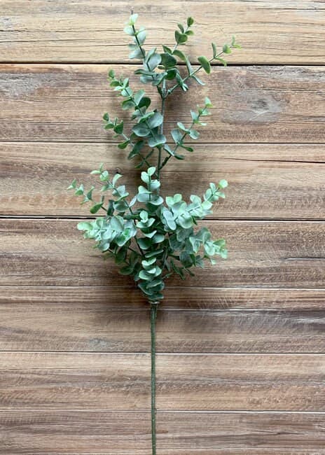 25" Eucalyptus Spray/Sprays/Greenery/Succulents/Terrarium Decor/Wedding Centerpieces/Home Decor/Faux Flowers
