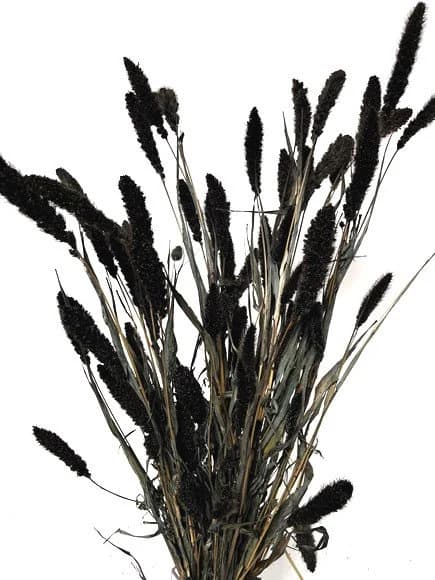 Black Setaria/Dried Floral/Branches/Centerpiece decor/ Decoration Branches/Gold Branches/Glitter Branches/Silver Branches