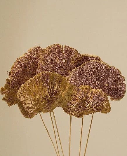 Mushroom Natural On Stem /Curly Twigs/Branches/Centerpiece decor/ Decoration Branches/Gold Branches/Glitter Branches/Silver Branches