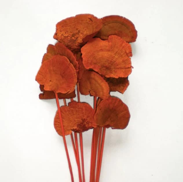 Mushroom Orange On Stem /Curly Twigs/Branches/Centerpiece decor/ Decoration Branches/Gold Branches/Glitter Branches/Silver Branches