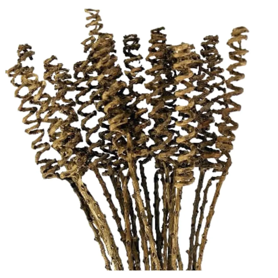 16" Natural Date Spring Sticks/Decorative Stick/Rustic/Home Decoration/Home Decor/Winter Wedding/Wedding Centrepiece/Natural Decor