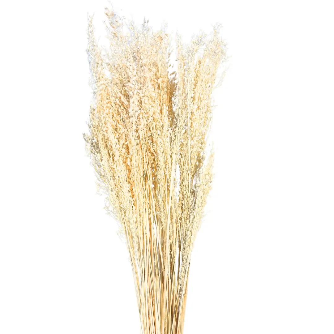 30" Carrapatinho/Branches/Centerpiece decor/ Winter wonderland/Decoration Branches/Gold Branches/Home Decor