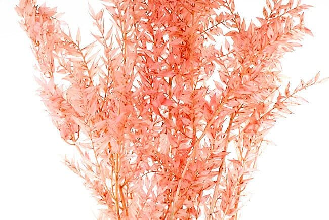 30" 8 Oz. Coral Ruscus/filler decor/faux filler/ Home Decor/VaseDecor/Centerpiece Decor/Faux Flowers/Silk Flowers/Flower Bouquet