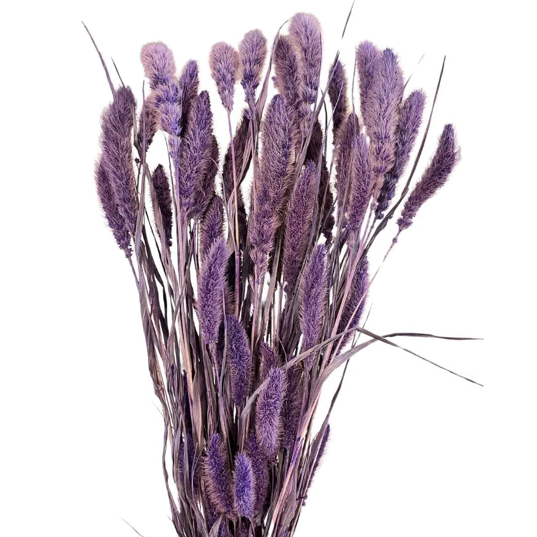 24" Setaria/Dried Floral/Branches/Centerpiece decor/ Decoration Branches/Gold Branches/Glitter Branches/Silver Branches