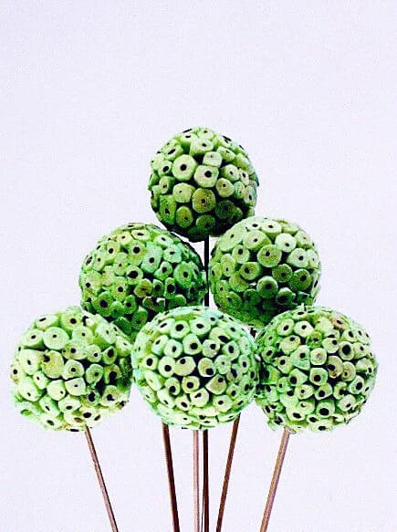 6PC Apple Green Cork Sola Balls On Sticks/Wedding Centerpieces/Home Decor/Faux Flowers/Silk Flowers/Spring Wedding/Summer Wedding/Rustic