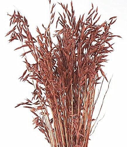28" Dark Rose Avena Wild/Fall/Thanksgiving/Table /Home Decor/Faux Decor/Faux Decoration/Fall Season/Indoor Decor/Artificial/Decor