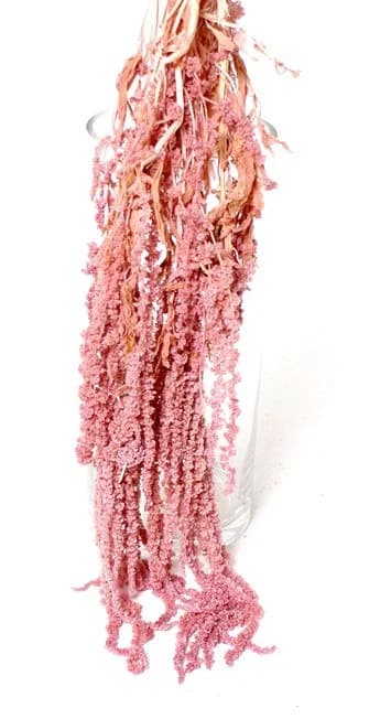 18-25" DUSTY ROSE AMARANTHUS Decor/filler decor/faux filler/ Home Decor/VaseDecor/Centerpiece Decor/Faux Flowers/Flowers
