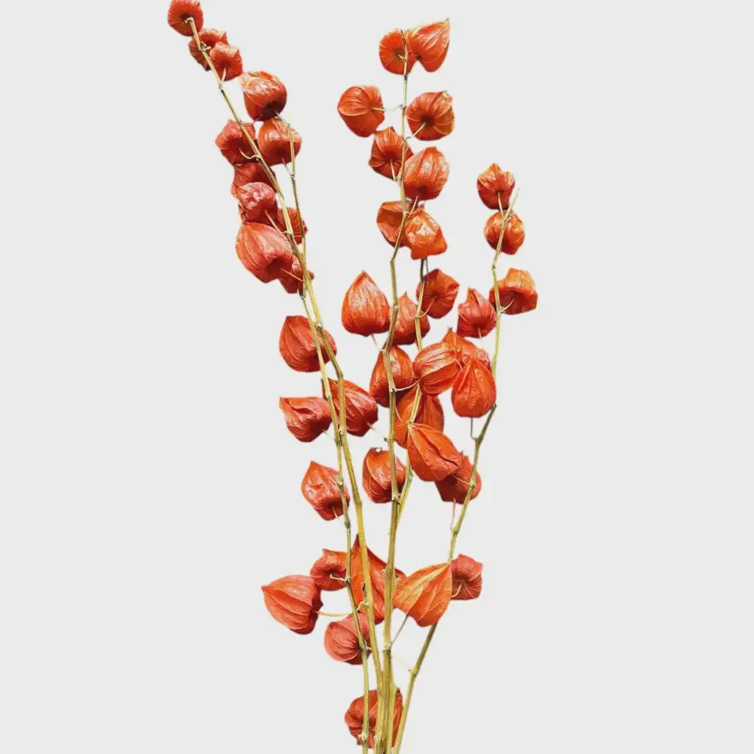 23" Chinese Lantern Stems/3PC/Twigs/Branches/Centerpiece decor/Winter wonderland/Decoration Branches/Gold Branches/Silver Branches
