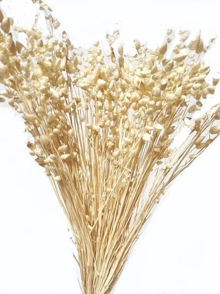 23" Briza Maxima/filler decor/faux filler/ Home Decor/VaseDecor/Centerpiece Decor/Faux Flowers/Silk Flowers/Flower Bouquet