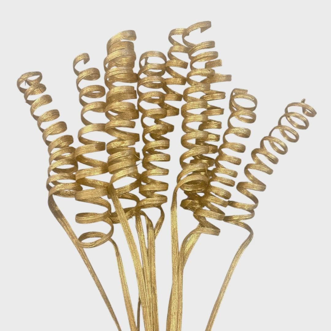 30" Gold Cane Spring/Curly Twigs/Branches/Centerpiece decor/Decoration Branches/Gold Branches/Glitter Branches/Silver Branches