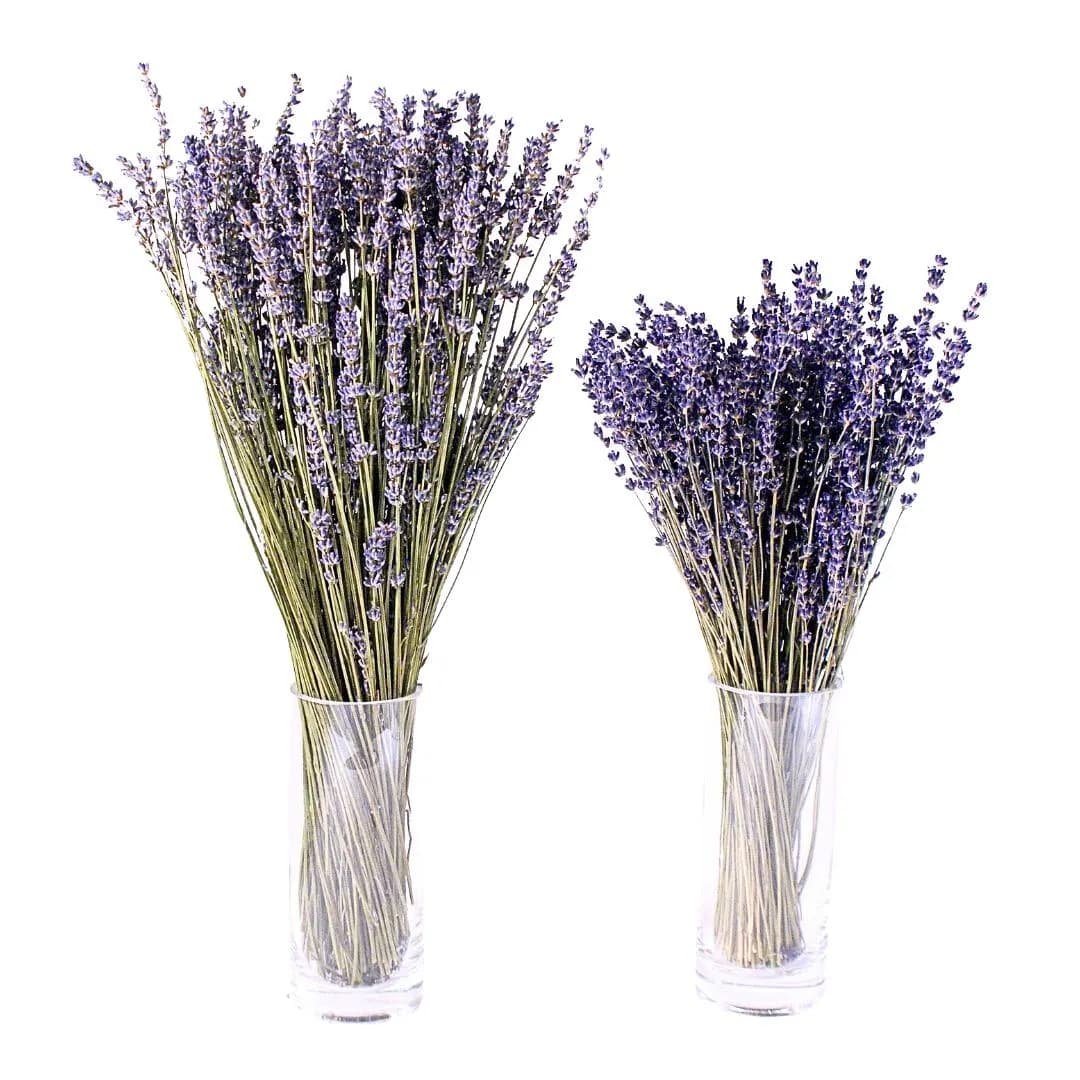 DRIED Lavender Floral Bouquet/25"/Dried Floral Bouquet/Reed/Dried Pampas/Boho Pampas/Boho Bouquet/Floral/Bunny tail