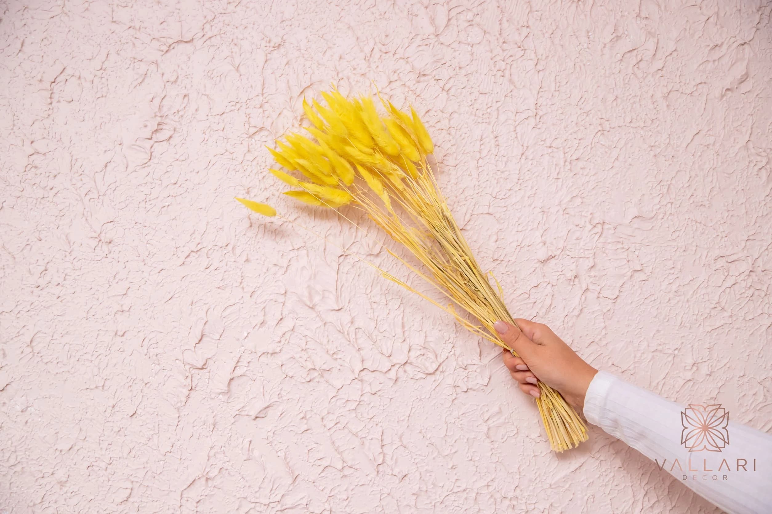 50PC Yellow Bunnytails/Home Decor/ Rustic Wedding Decor/Dried Bunny Tail/ Ivory Pampas/ Natural Pampas/ 2.5ft Long Pampas