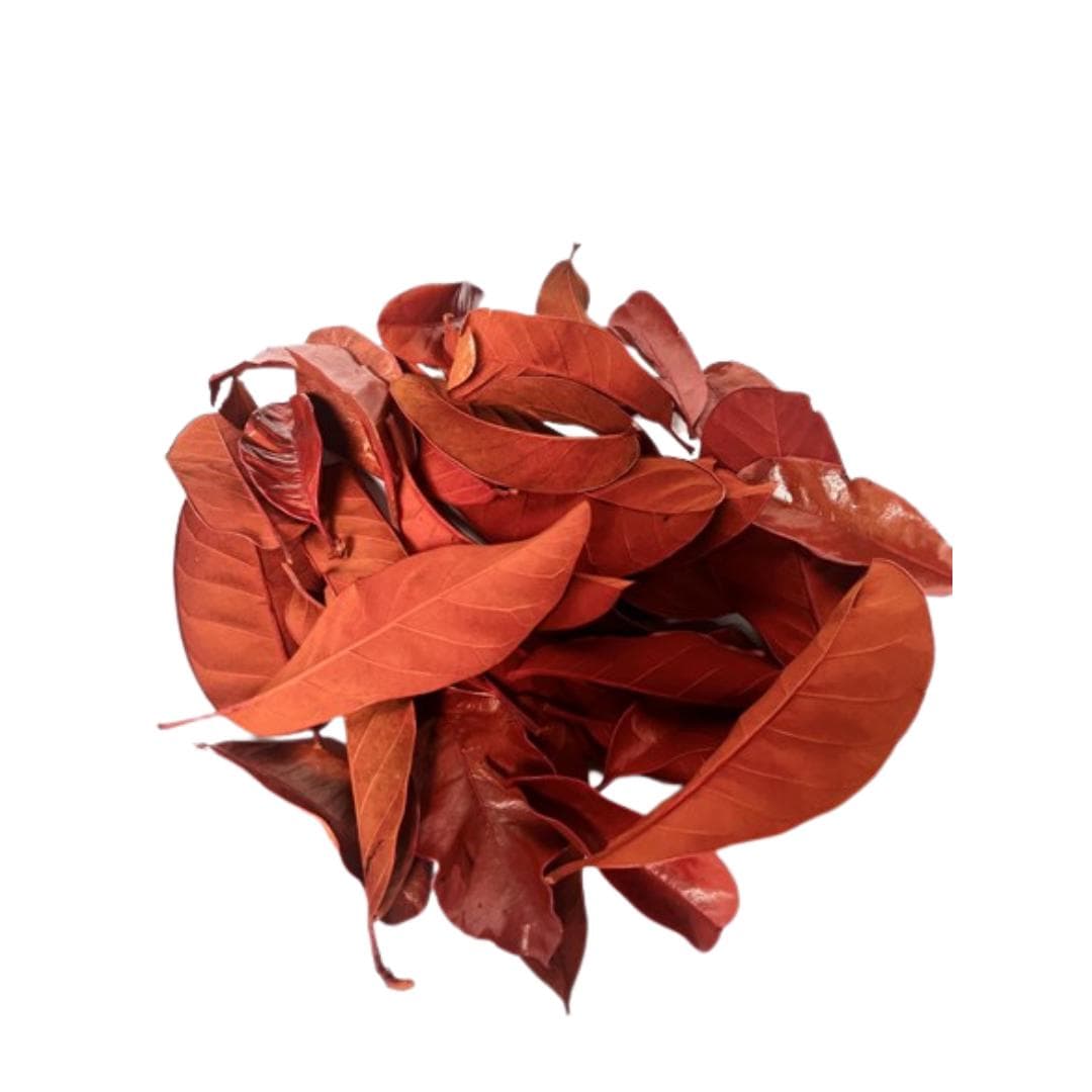 Orange Mandioca Leaves/Curly Twigs/Branches/Centerpiece decor/ Decoration Branches/Gold Branches/Glitter Branches/Silver Branches
