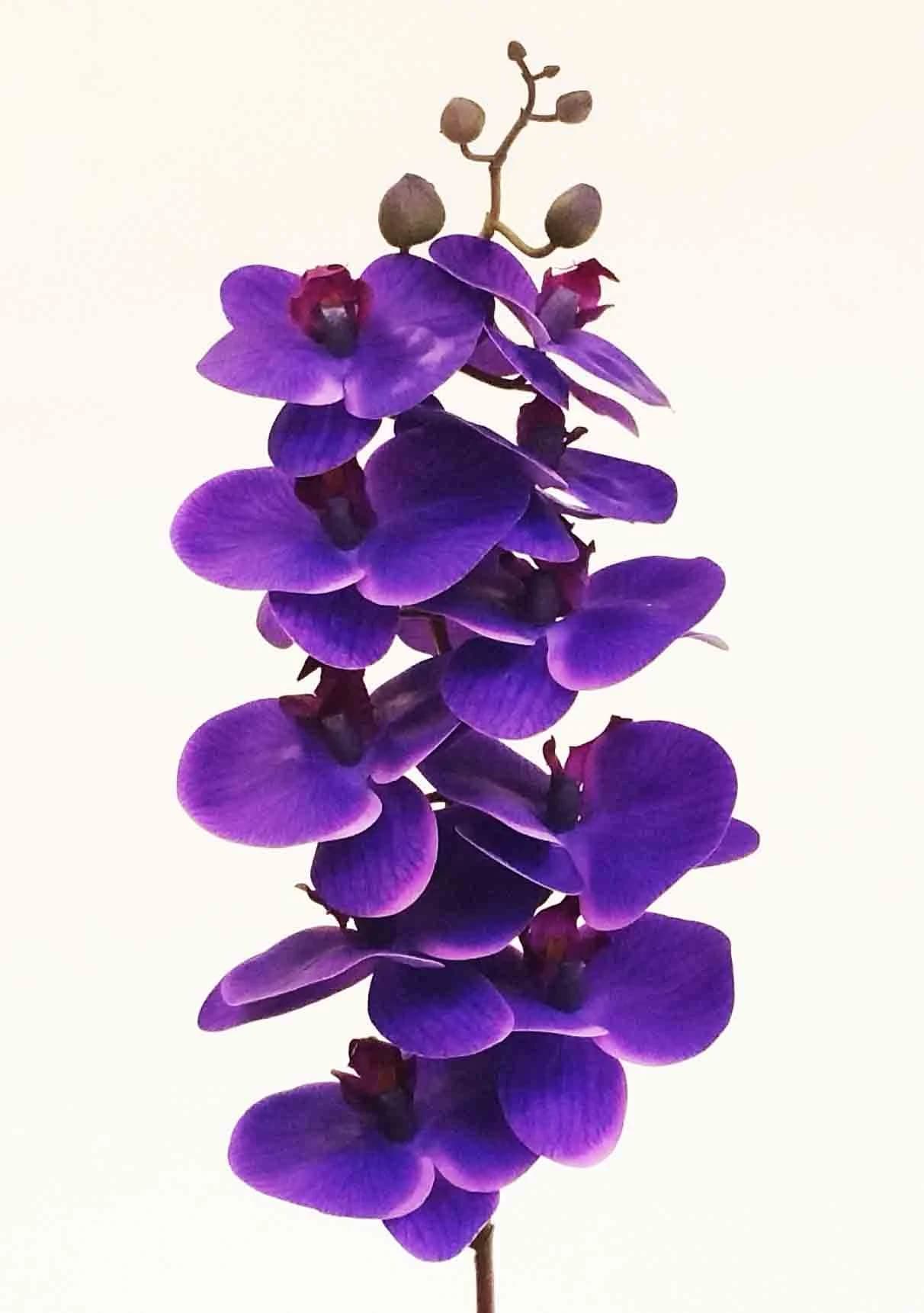 32" Purple Phalaenopsis Orchid/Floral Wedding/Greenery/Wedding Centerpieces/Home Decor/Faux Vines/Silk Vines/Garlands