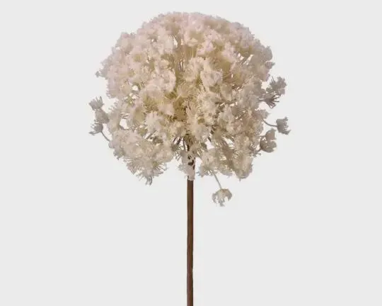 28" Flocked White Allium Stem – Soft Faux Pom Pom Floral Spray, Artificial White Allium Flower Pick for Spring, Wedding & Home Decor
