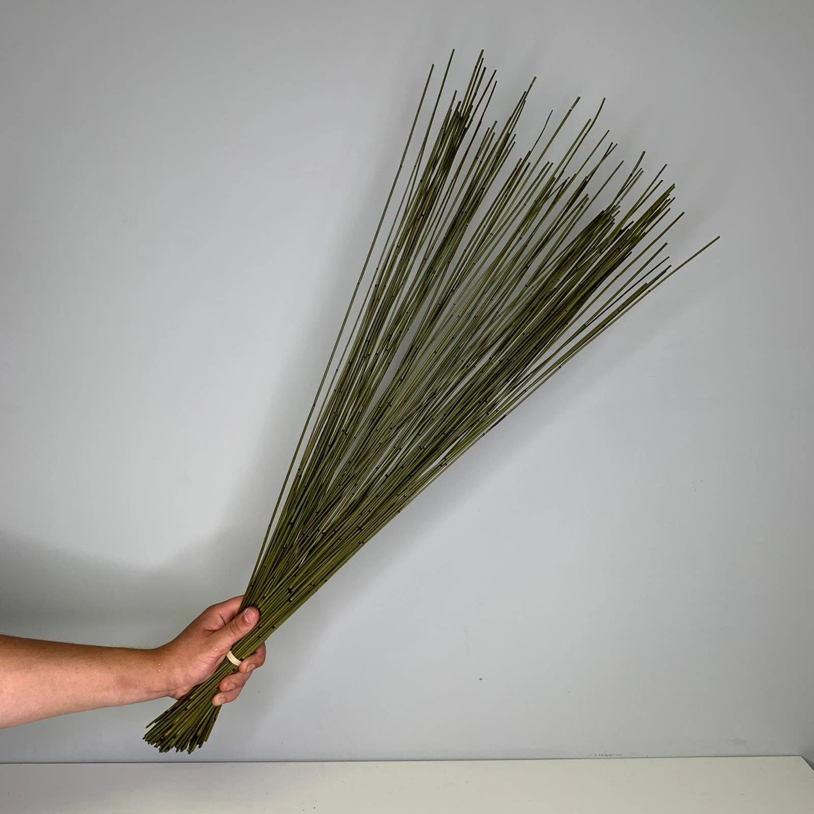 Green 30" Bamboo Cane Twigs/Branches/Centerpiece decor/ Winter wonderland/Decoration Branches/Gold Branches/Glitter Branches/Silver Branches