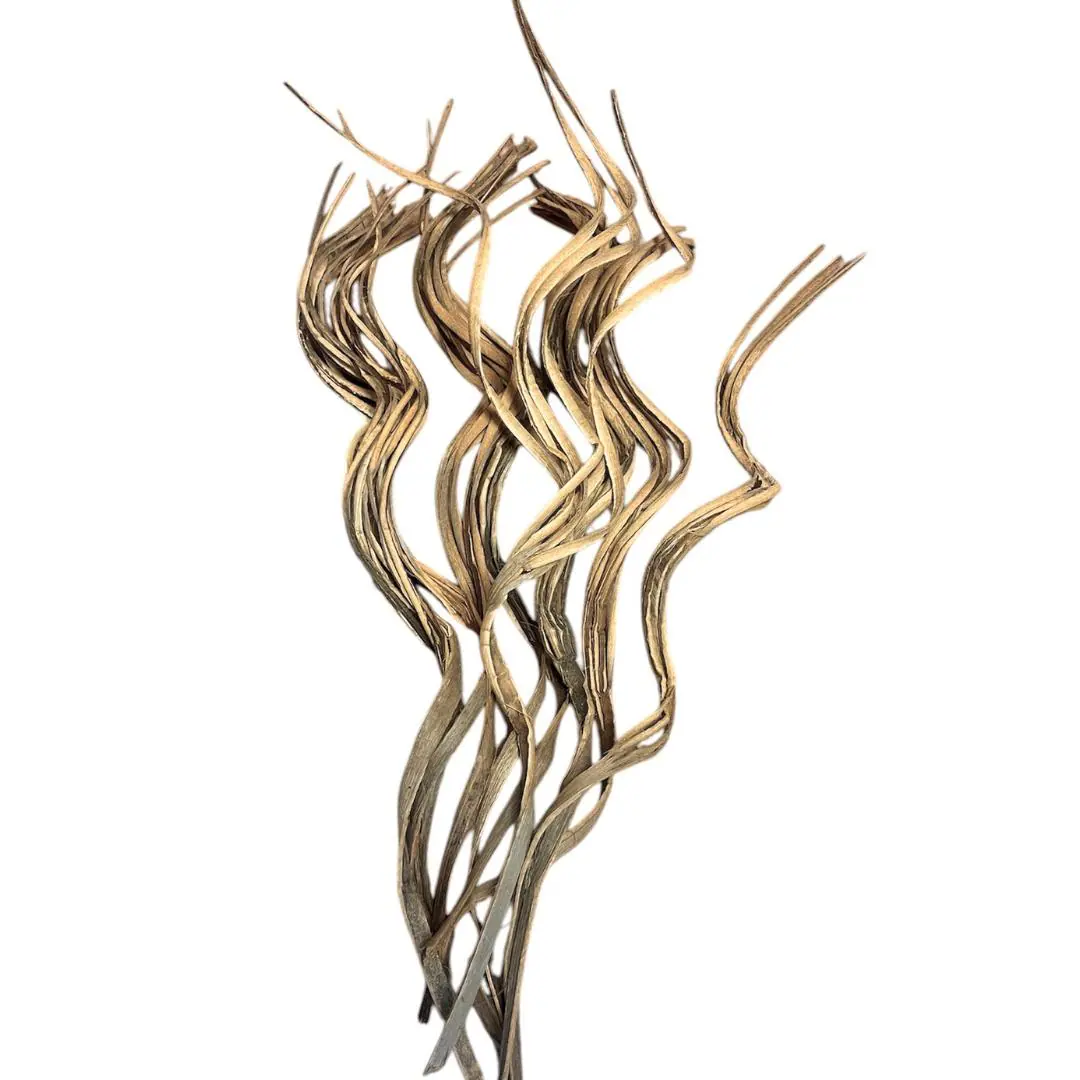 22" Natural Coco Curly Branches/Centerpiece decor/Winter wonderland/Decoration Branches/Gold Branch/Glitter Branch/Silver Branch