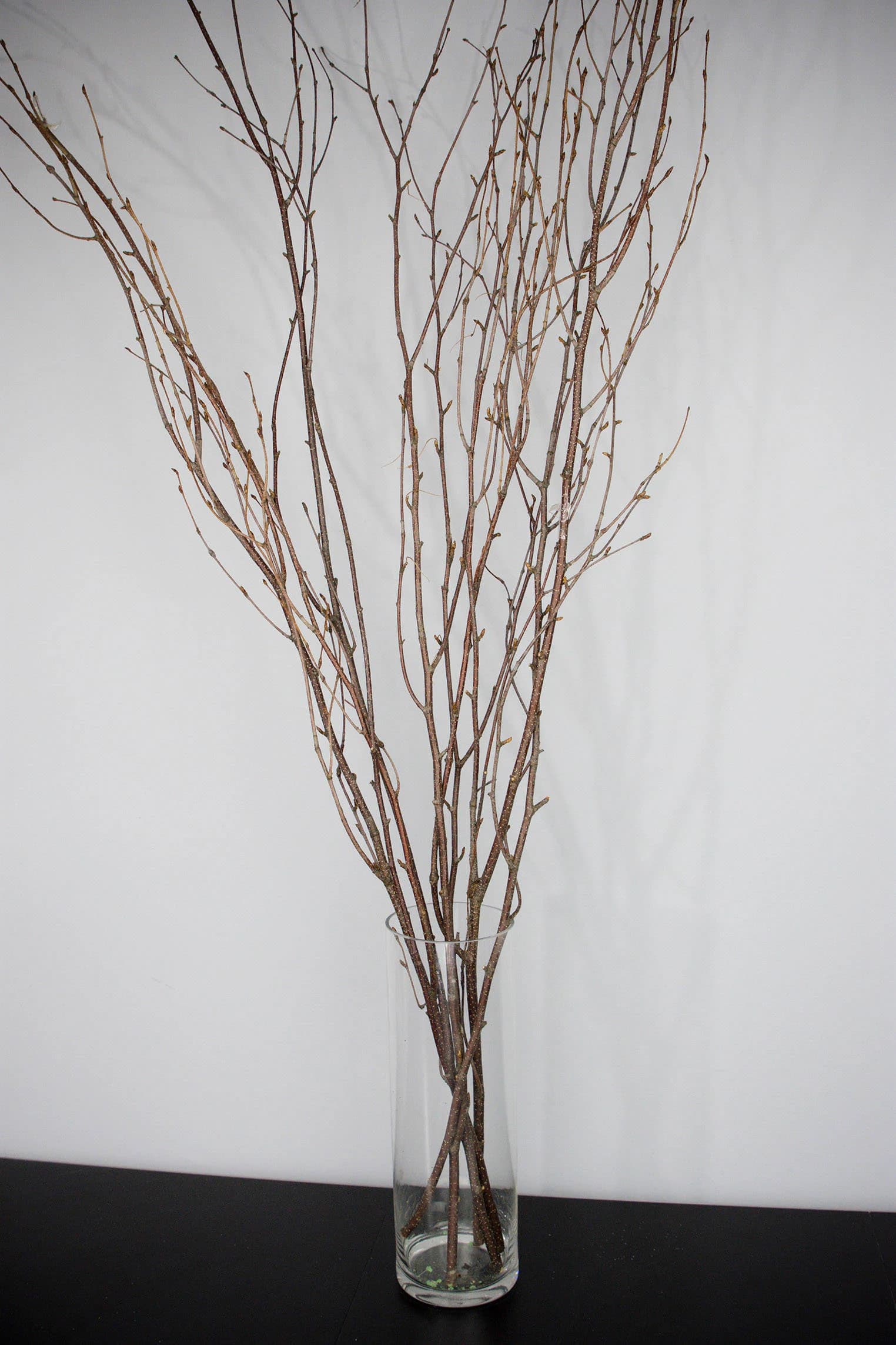 Natural Branch/Curly Twigs/Branches/Centerpiece decor/ Winter wonderland/Decoration Branches/Gold Branches/Glitter Branches/Silver Branches