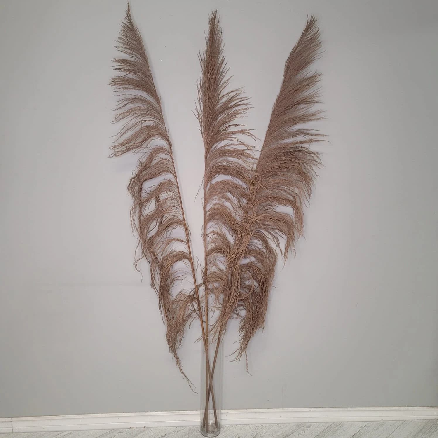 5FT-3 Pc NATURAL UVA STALK/Pampas/Natural Stalk/NaturalBranches/RusticDecor/Home Decoration/Home Decor/Winter Wedding/Wedding Centrepiece