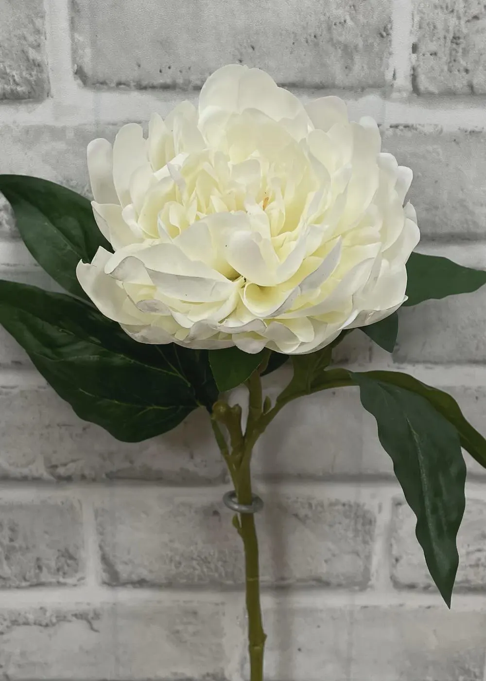 22” Cream Fresh Touch Peony Stem | Real Touch Peony |Floral for Tall Vases | Ivory Wedding Centerpiece Bloom | High-End Silk Peony Branch