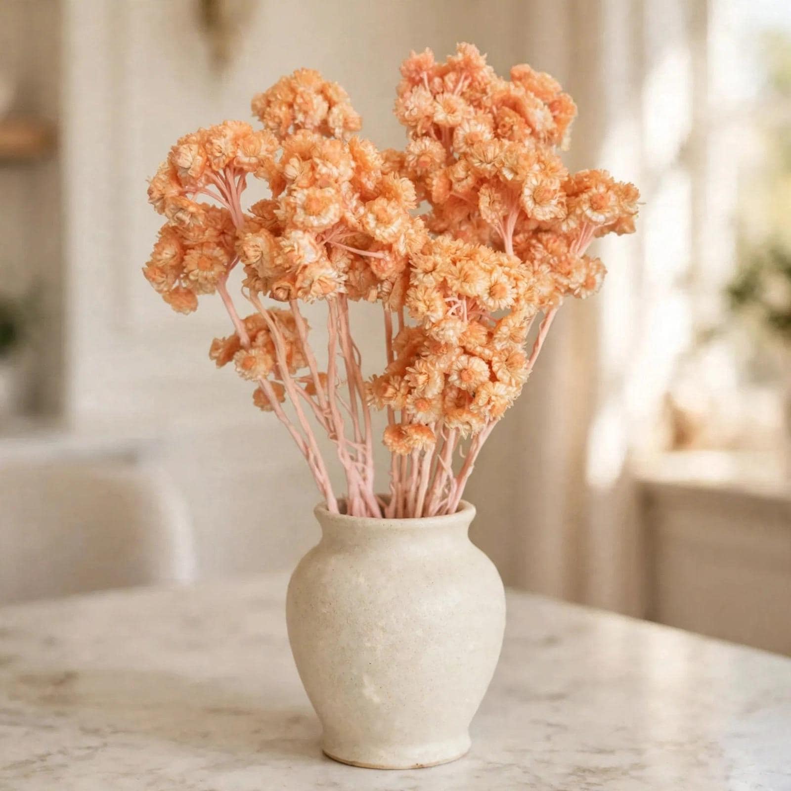 Immortelle Peach 18 Inch | 10 Stems | Dried Flowers for Arrangements