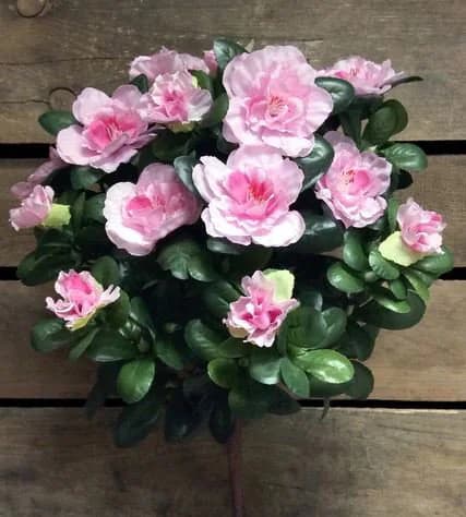 14.5" Pink Azalea Bush/Spray/Greenery/Succulent/Carnations/Wedding Centerpiece/Home Decor/Faux Flower/Silk Flowers/Flower Bouquet