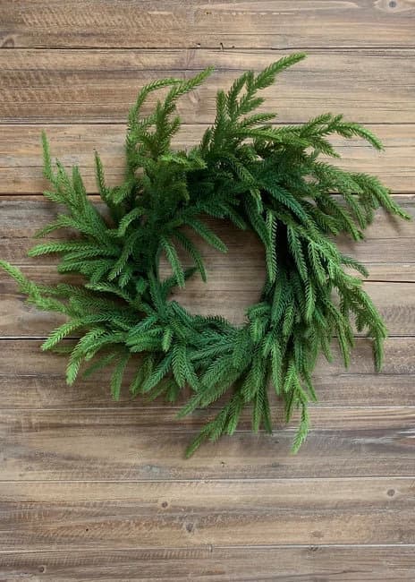 20" Fresh Touch Norfolk Pine Wreath/Green Artificial Wreath/Green Wreath/Natural Looking Wreath/Outdoor Wreath/Green Outdoor Wreat