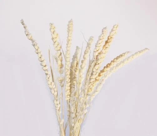 26" White Setaria/Dried Floral/Branches/Centerpiece decor/ Decoration Branches/Gold Branches/Glitter Branches/Silver Branches