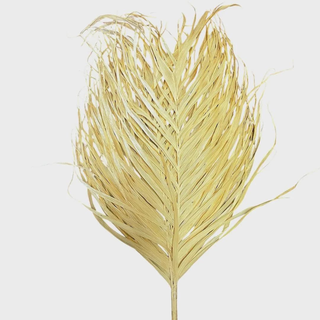 24" Bleached Areca Fern/filler decor/faux filler/ Home Decor/VaseDecor/Centerpiece Decor/Faux Flowers/Silk Flowers/Flower Bouquet