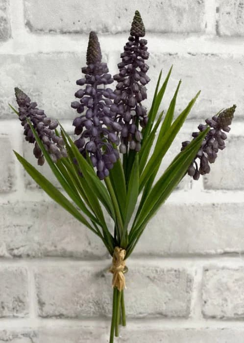 10.5" LAVENDER MUSCARI BUNDLE X 4