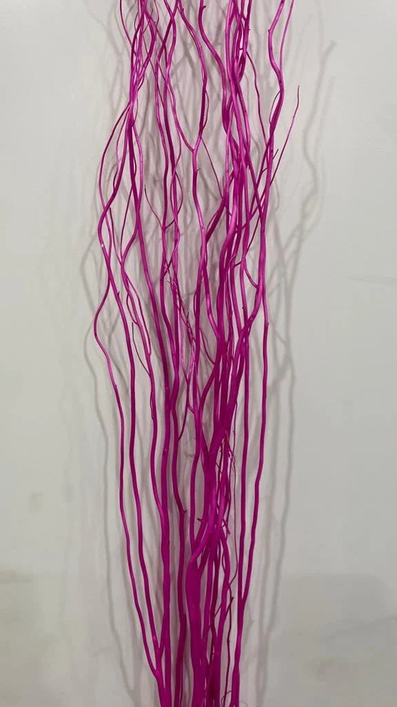 Fuchsia Curly Willow Branches