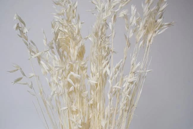26" Avena Wild Bleached/Fall/Thanksgiving/Table /Home Decor/Faux Decor/Faux Decoration/Fall Season/Indoor Decor/Artificial/Decor