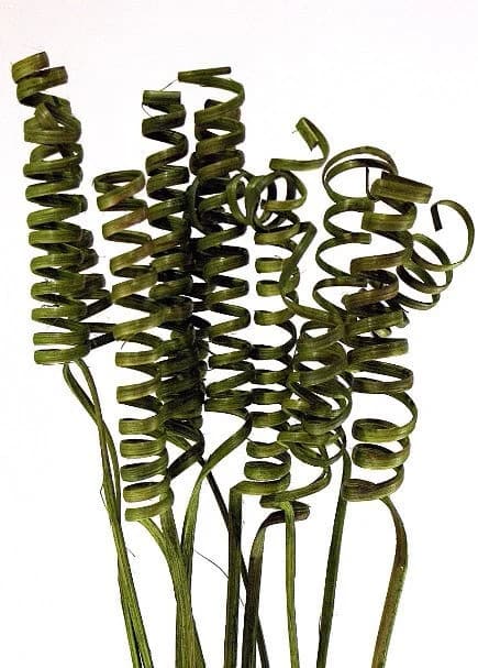 30" Moss Green Cane Spring/Curly Twigs/Branches/Centerpiece decor/Decoration Branches/Gold Branches/Glitter Branches/Silver Branches