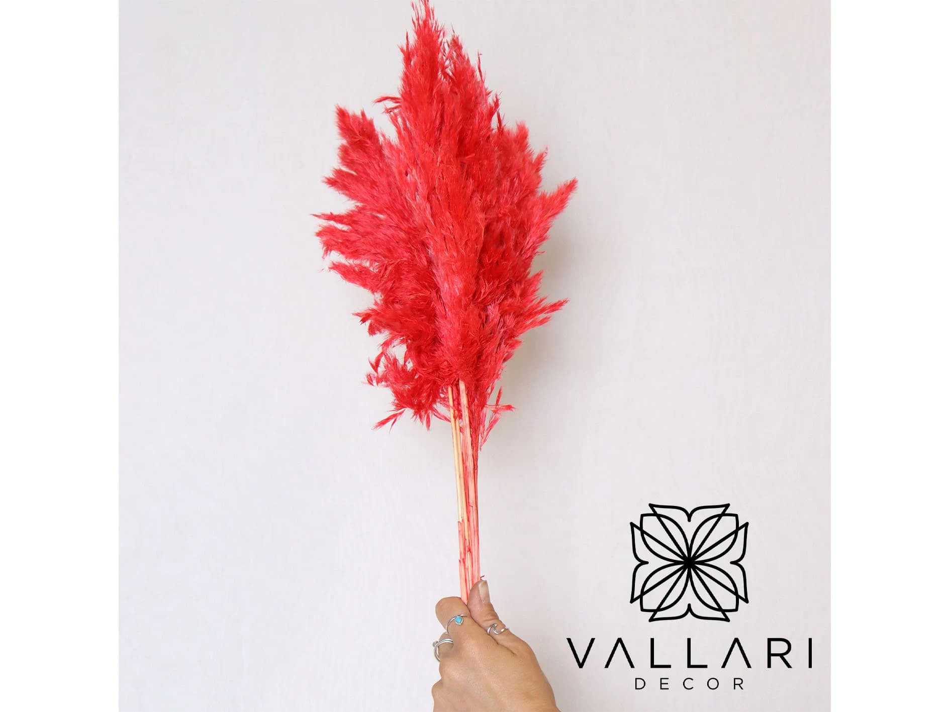 6PC 30" Red Pampas Grass/Bundle/Home/Rustic Wedding Decor/Brown Pampas/Ivory Pampas/Natural Pampas/2.5ft Long Pampas