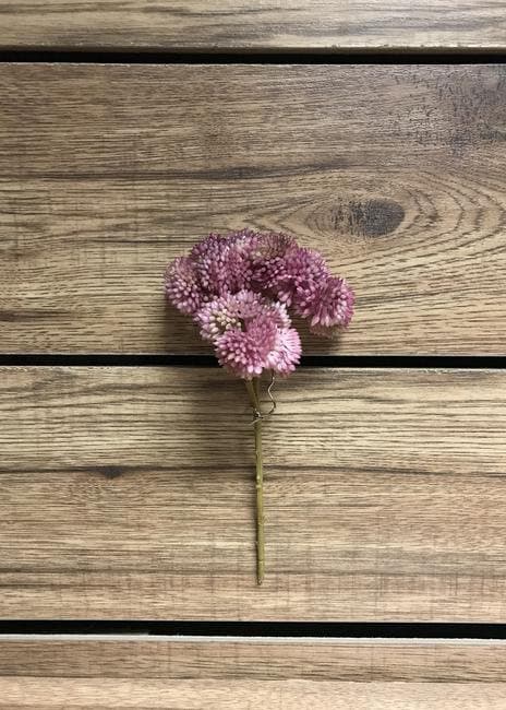 9" Pink Fresh Touch Sedum Pick/Faux Spray/Autumn Decor/Holiday Decor/Fall Decor/Thanksgiving Decor/Wedding Decor