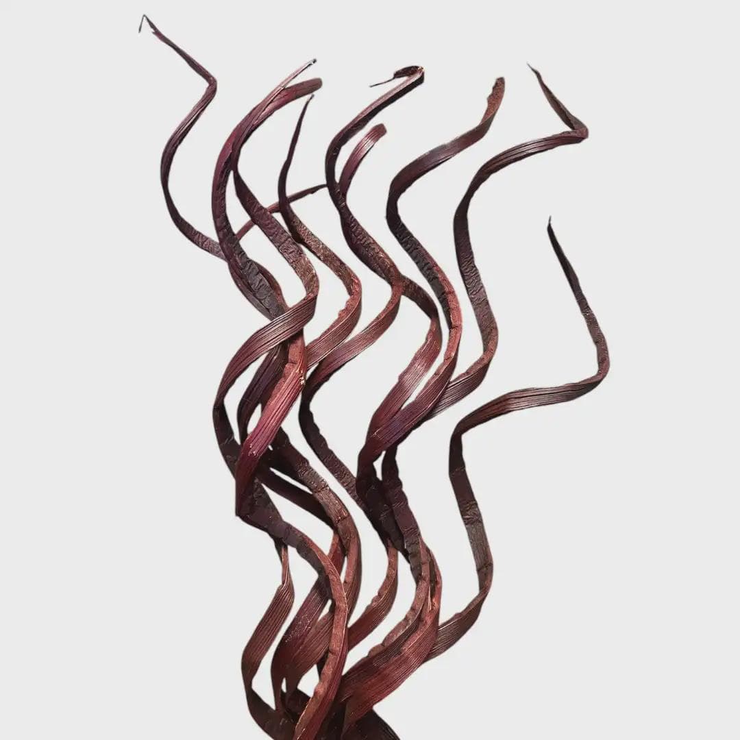 28" -10pc BROWN Curly Coco Twigs/Branches/Centerpiece decor/Winter wonderland/Decoration Branches/Gold Branch/Glitter Branch/Silver Branch