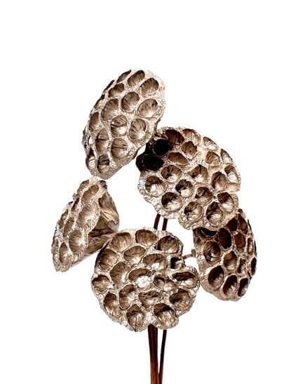 5PC Platinum Lotus Pods/Curly Twigs/Branches/Centerpiece decor/ Decoration Branches/Gold Branches/Glitter Branches/Silver Branches