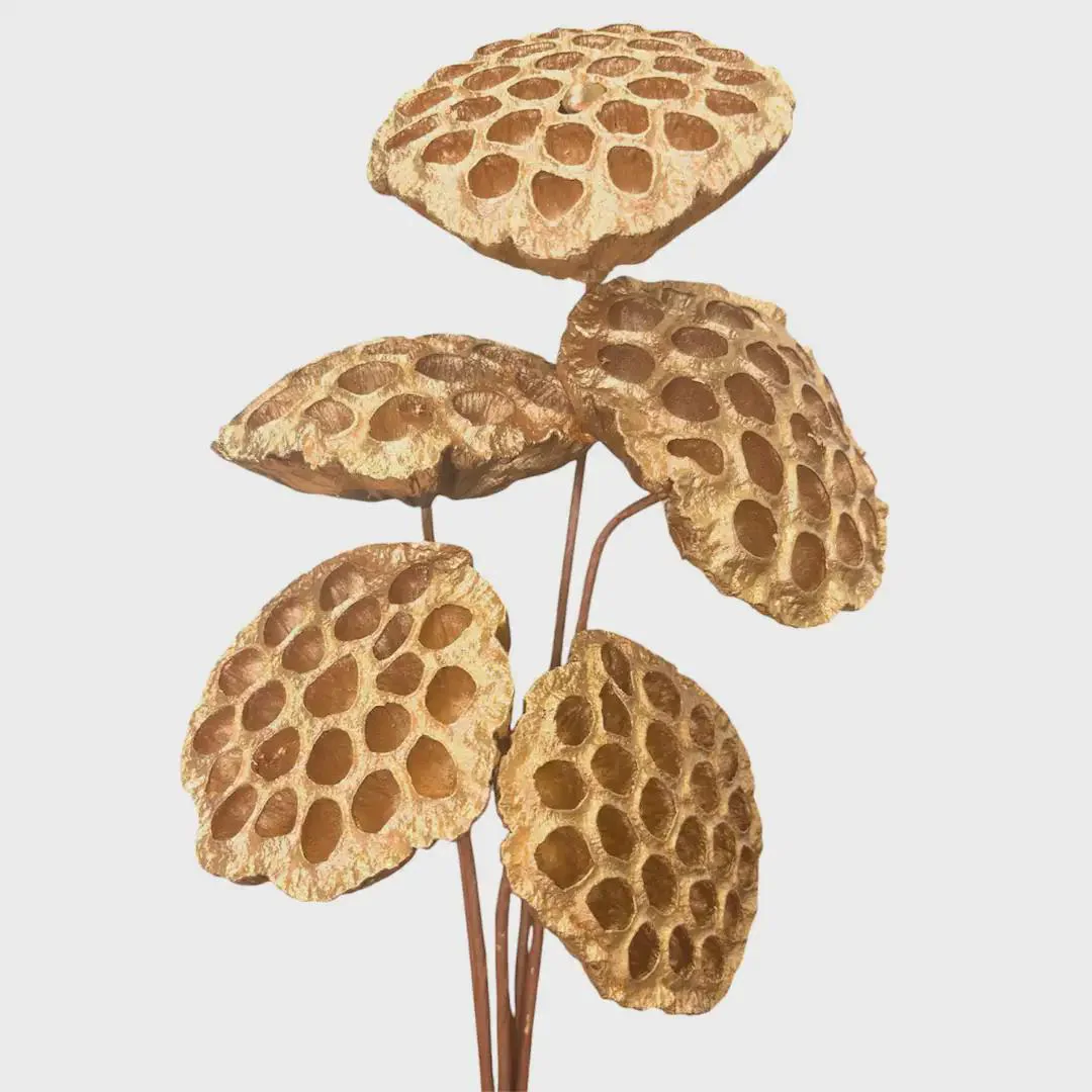 5PC Gold Lotus Pods/Curly Twigs/Branches/Centerpiece decor/ Decoration Branches/Gold Branches/Glitter Branches/Silver Branches