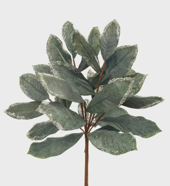 24" Green, Lavender Magnolia Leaf Bush/Holiday Decor/Christmas Decor/Poinsettia Picks/Poinsettia Flowers/Poinsettias/Wedding