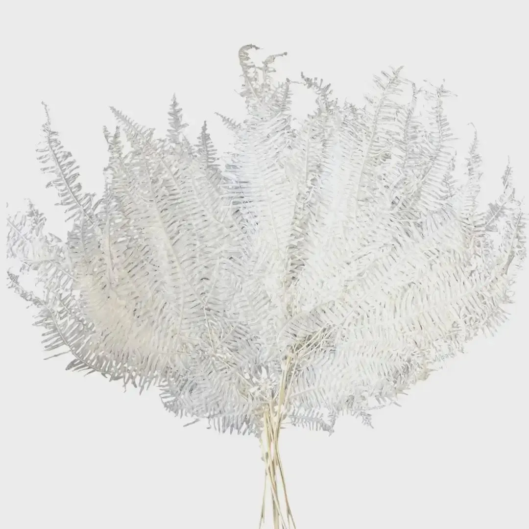 18" Bleached Berg Fern/Filler Decor/Faux Filler/Home Decor/Vase Decor/Centerpiece Decor/Faux Flower/Silk Flowers/Flower Bouquet