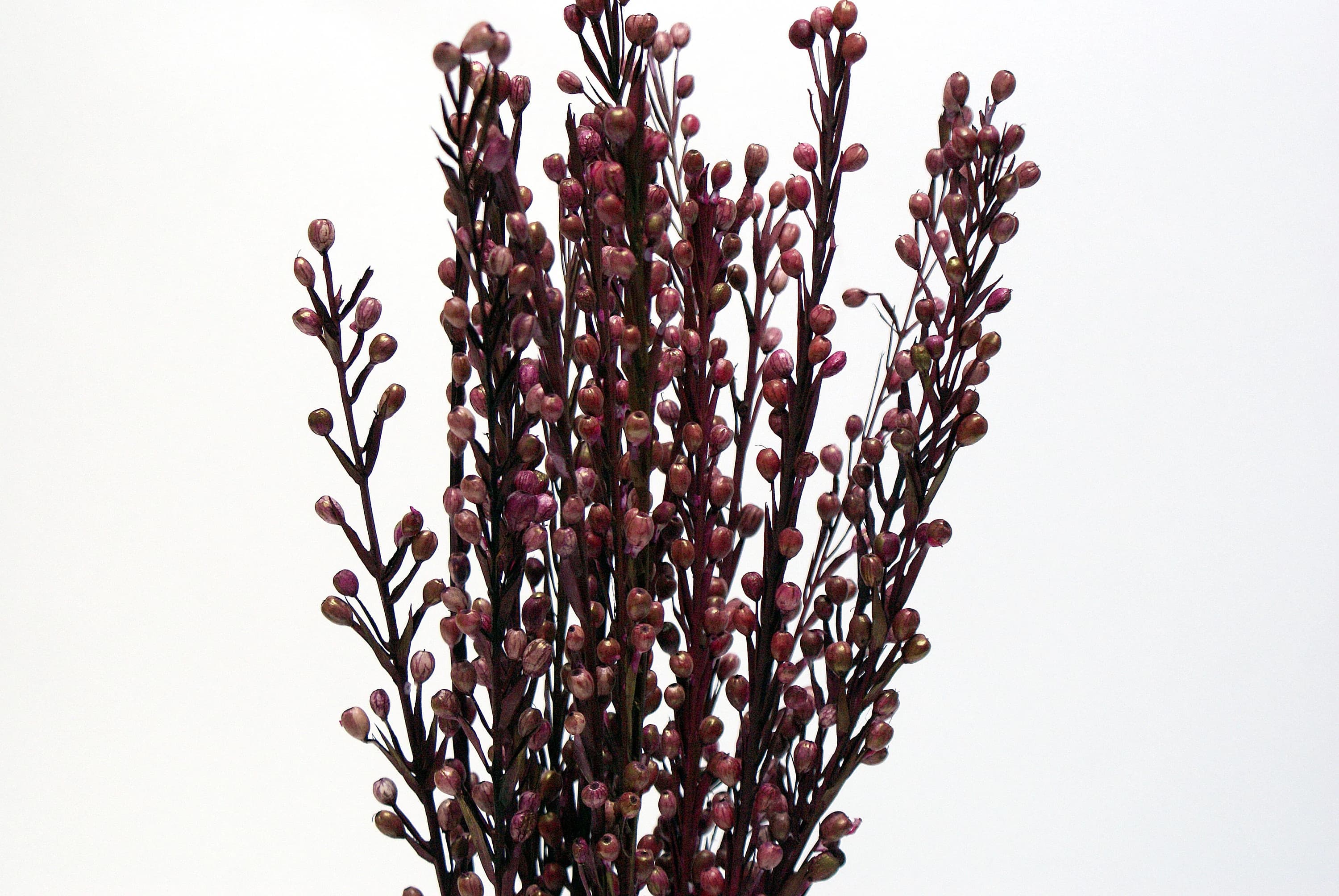 12pcs 24" Burgundy Moti Sticks/Decorative Balls/Rustic Decor/Home Decoration/Home Decor/Winter Wedding/Wedding Centrepiece