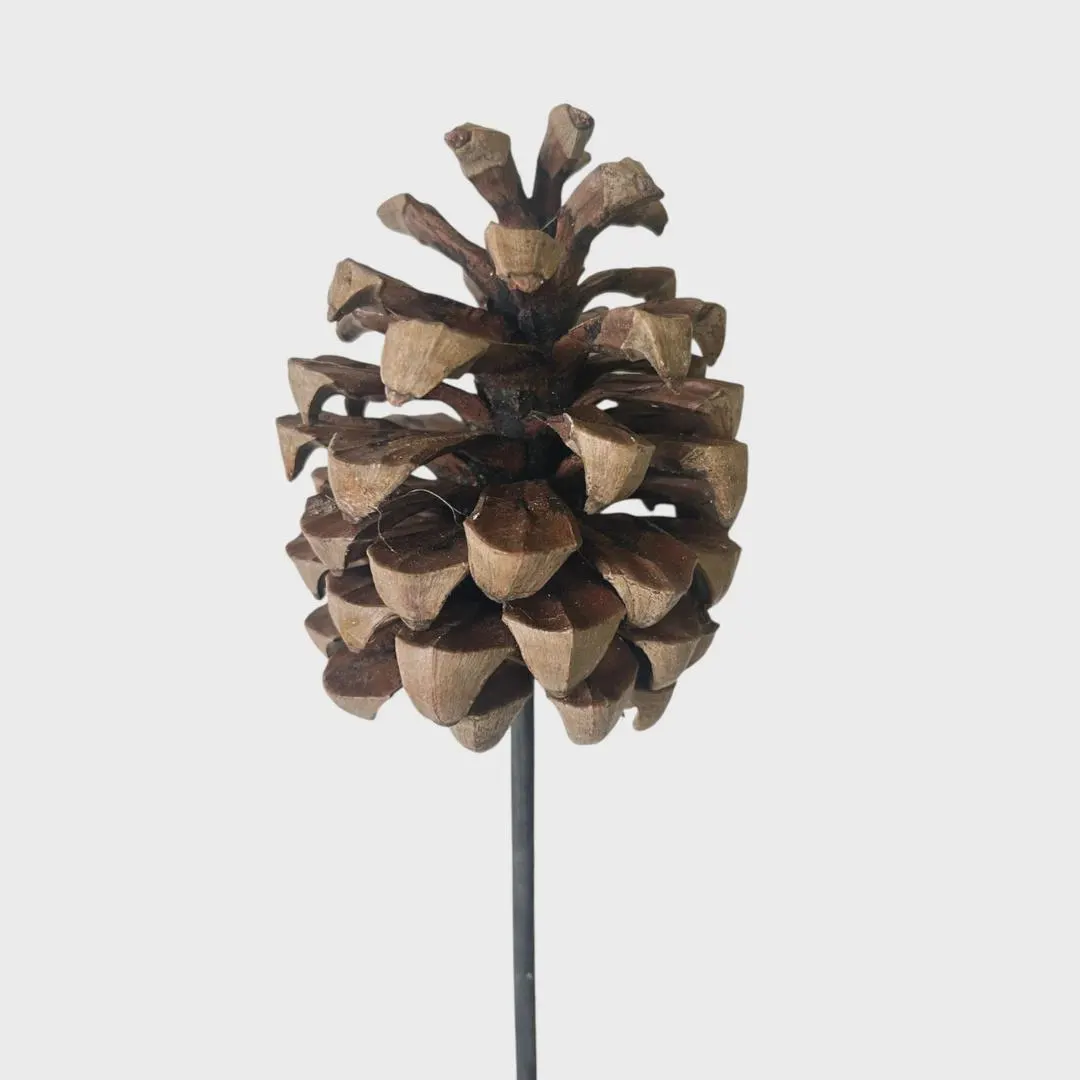 5"-7" Natural Pine Cones on Stems – Rustic Pine Cones on Sticks, Faux Botanical Stem Pick for Bowl Fillers, Wreaths &-Woodland Fall Deco