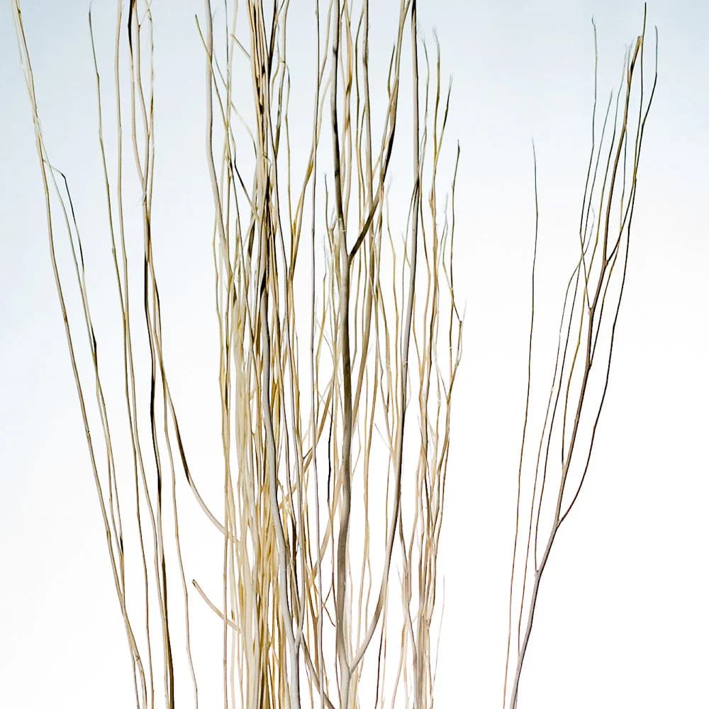 Natural/Cream /Curly Twigs/Branches/Centerpiece decor/ Winter wonderland/Decoration Branches/Gold Branches/Glitter Branches/Silver Branches